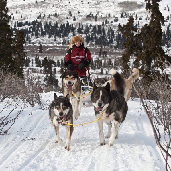 dog sledding on Annie Lake; Yukon