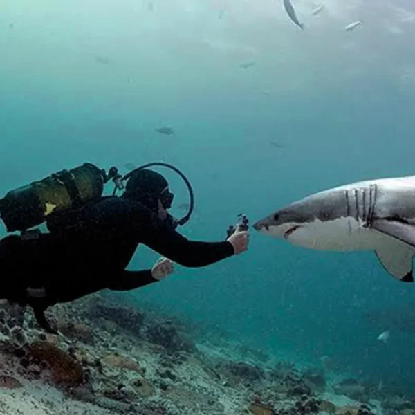 Expedicion-Sudafrica-14