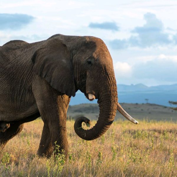 WhatsApp Image 2025-09-18 at 21.21.02